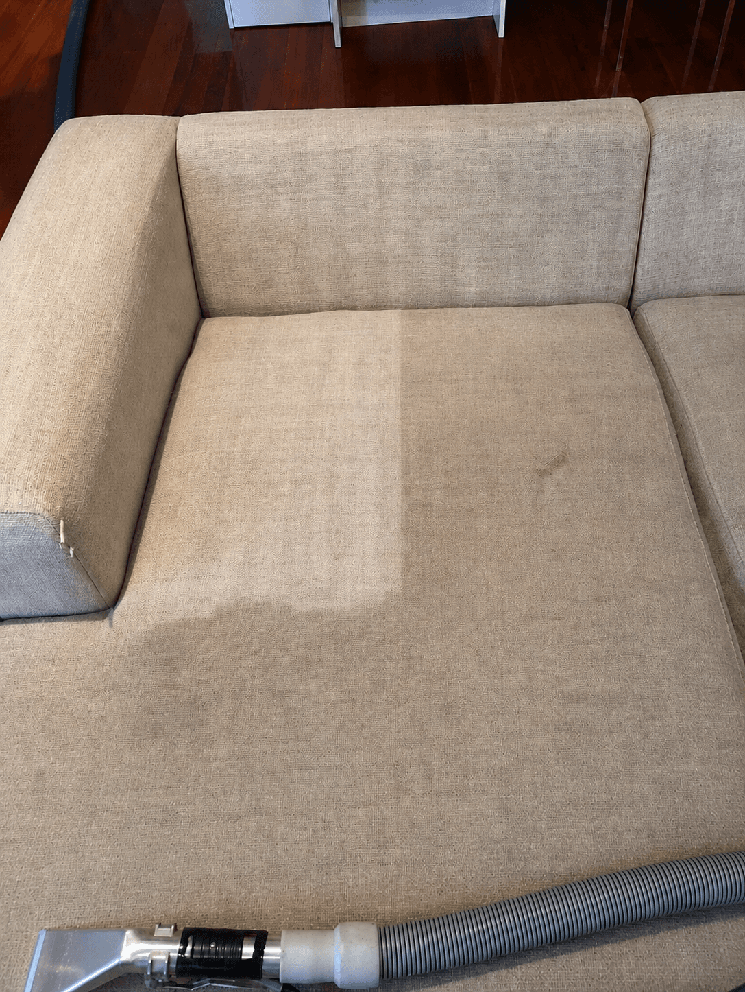 Upholstery Cleaning by North West Carpet Cleaning